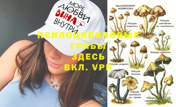 хмурый Новодвинск