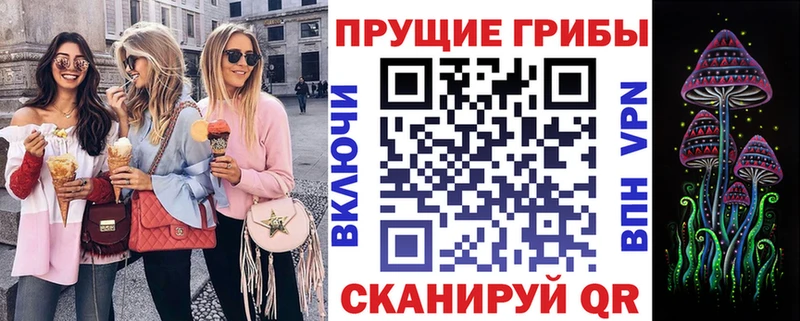 Купить закладки Красный Холм Псилоцибиновые грибы мицелий